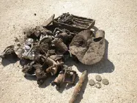 DSCN0768.webp
