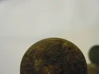 DSCF7468.webp
