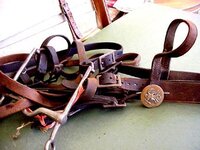 WW1_horsegear_rosette-with-1902eagle-on-harness_headstall.jpg