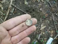 AUG 21 hunt with rebel spanish silver 001 [640x480].webp