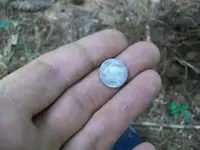 AUG 21 hunt with rebel spanish silver 003 [640x480].webp