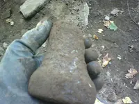 0831011712a.webp