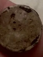 oct 1st indian head penny 1859.webp
