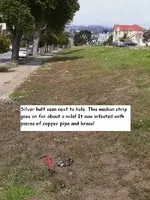 S.F. Finds 9-10-11 002.webp