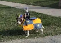 Dog Costumes #3.webp