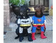 Dog Costumes #6.webp