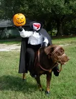 Dog Costumes #7.webp