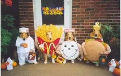 Dog Costumes #8.webp