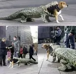 Dog Costumes #12.webp