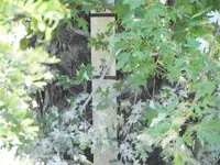 009.webp