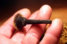 NH FINDS 10-26027.webp