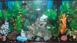 tank 2.webp
