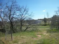 100_1001.webp