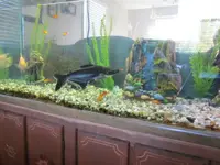 IMG_0008_1.webp