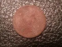IMAG0235.webp
