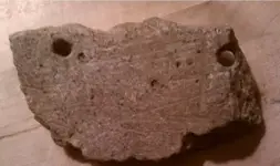 Gorget Resized 2.webp