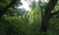 barbel 005.webp