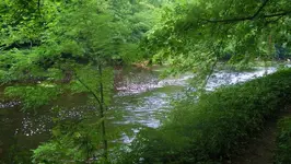 river walk 001.webp