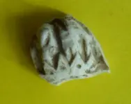 SAM_2327.webp