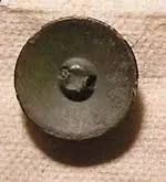 button back.webp