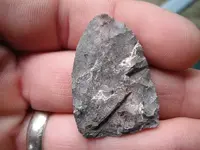 DSCF0780.webp