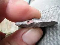 DSCF0782.webp