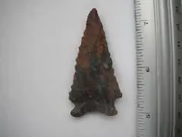 DSCF0783.webp