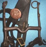 WW1_horsegear_bridle-with-1902eagle-rosette_closeup.webp