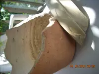 Picture or Video 224.webp