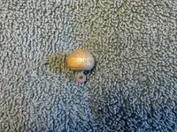 untitled.webp