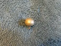 untitled.webp