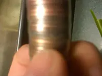 IMG00655-20111015-1529.webp