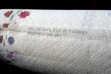 paper towels.webp