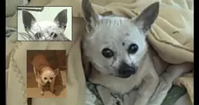 old girl is 19.webp