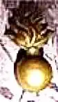 images.webp