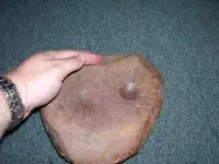 nutstone 001.webp