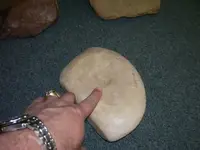 nutstone 004.webp