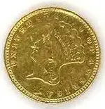 TreasureNetDig.webp