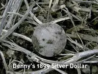Denny\'s 1899 Silver Dollar.webp