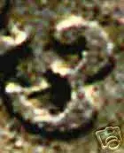 87_1.webp