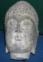 head1.webp