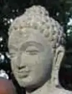 SGB.webp