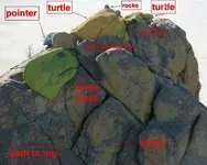 signs 1 (Large).webp