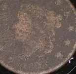 close up.webp