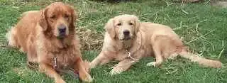 100_0591.webp