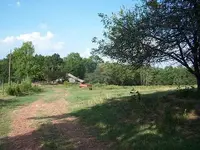 080801holt.webp