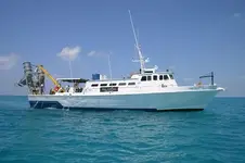 RV Dare.webp