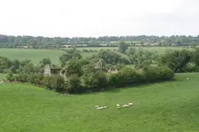 Gernonstown Abbey#28.webp
