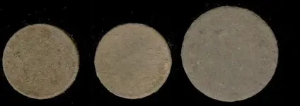 unknown coin and 2 wheats dirty.webp