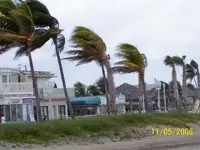 hollywood bch.webp